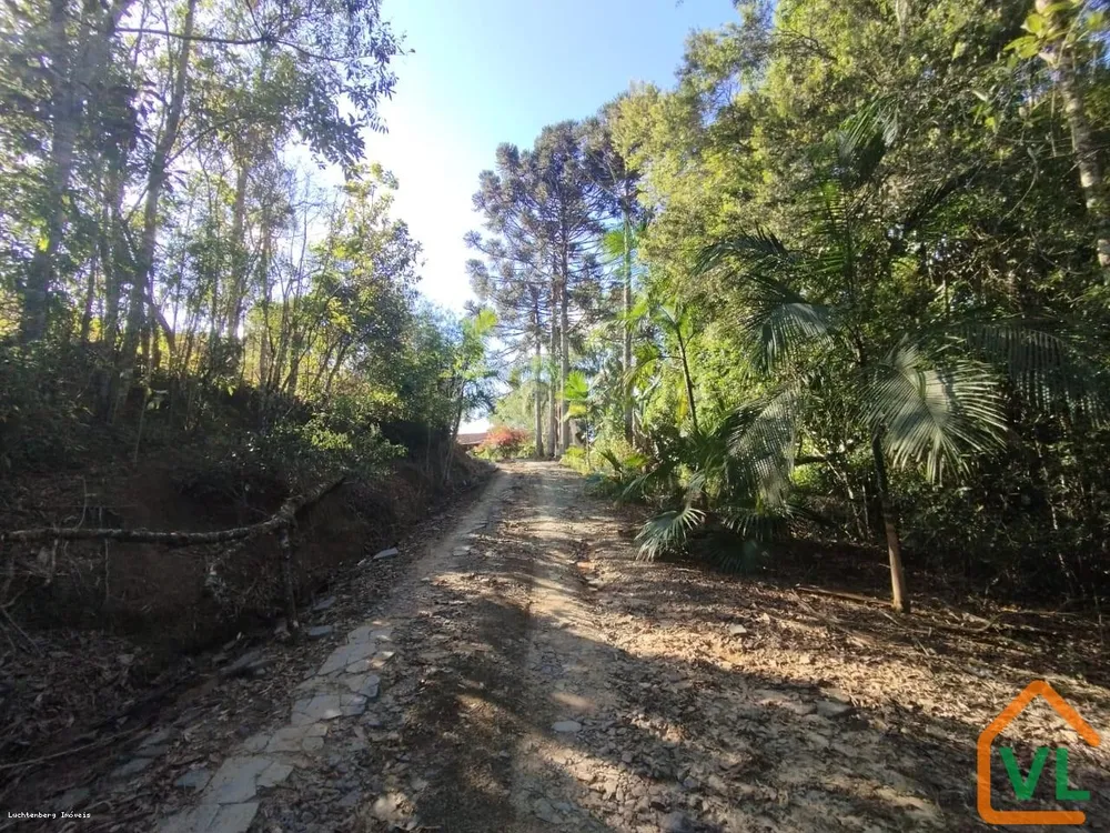 Sítio, 4 quartos, 13 hectares - Foto 12