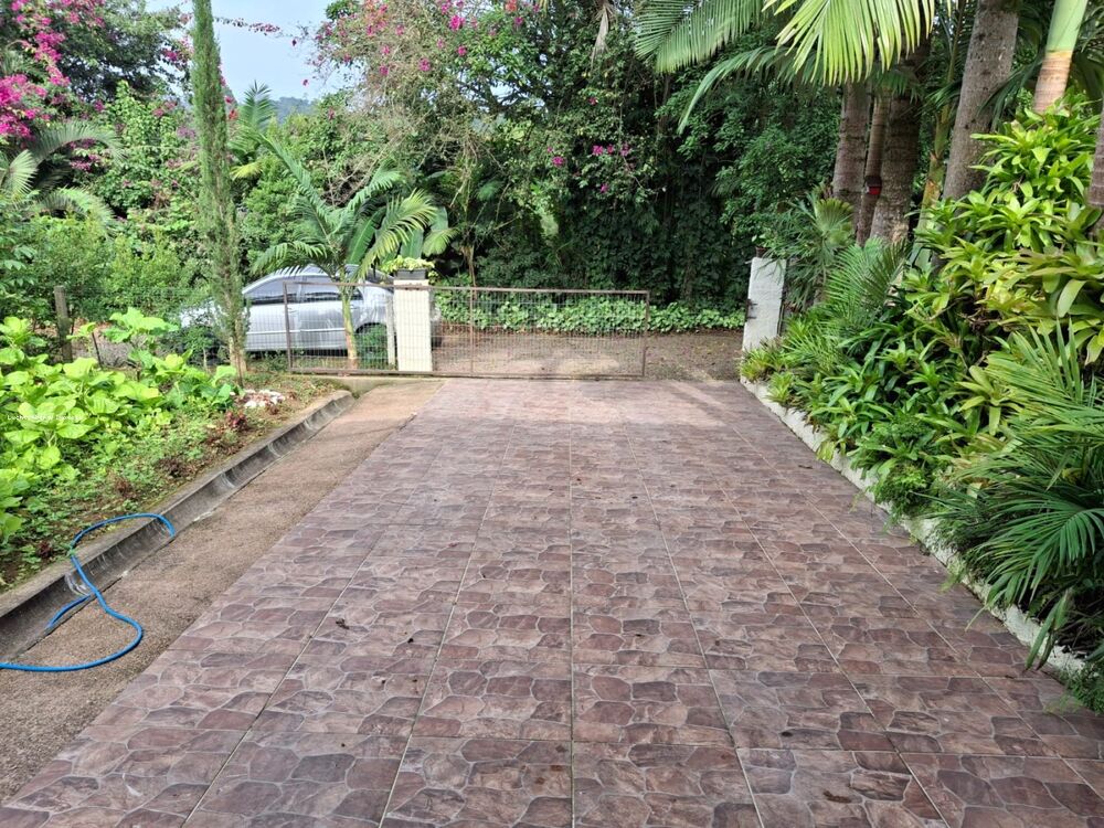 Sítio à venda com 3 quartos, 30000m² - Foto 11