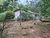 Sítio, 3 quartos, 3 hectares - Foto 24