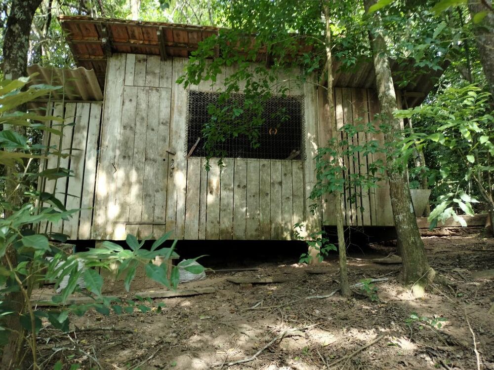 Sítio, 4 quartos, 11 hectares - Foto 7