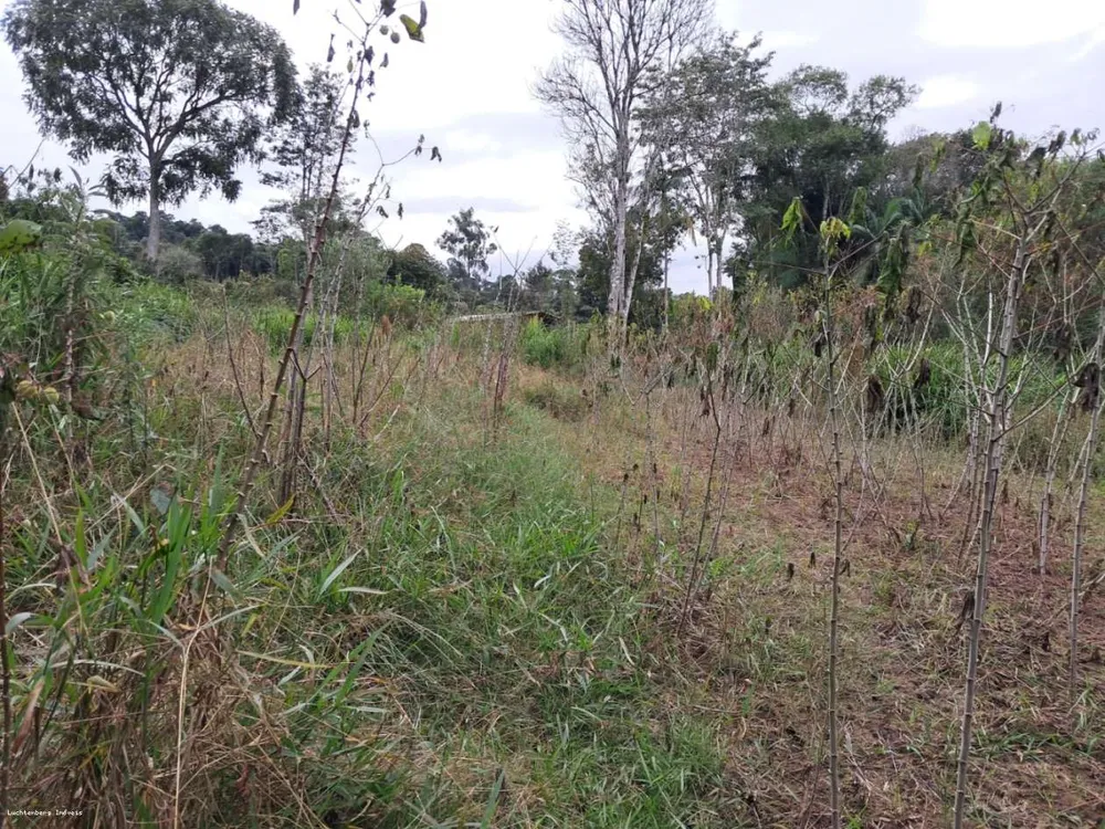 Chácara, 7000 m² - Foto 8