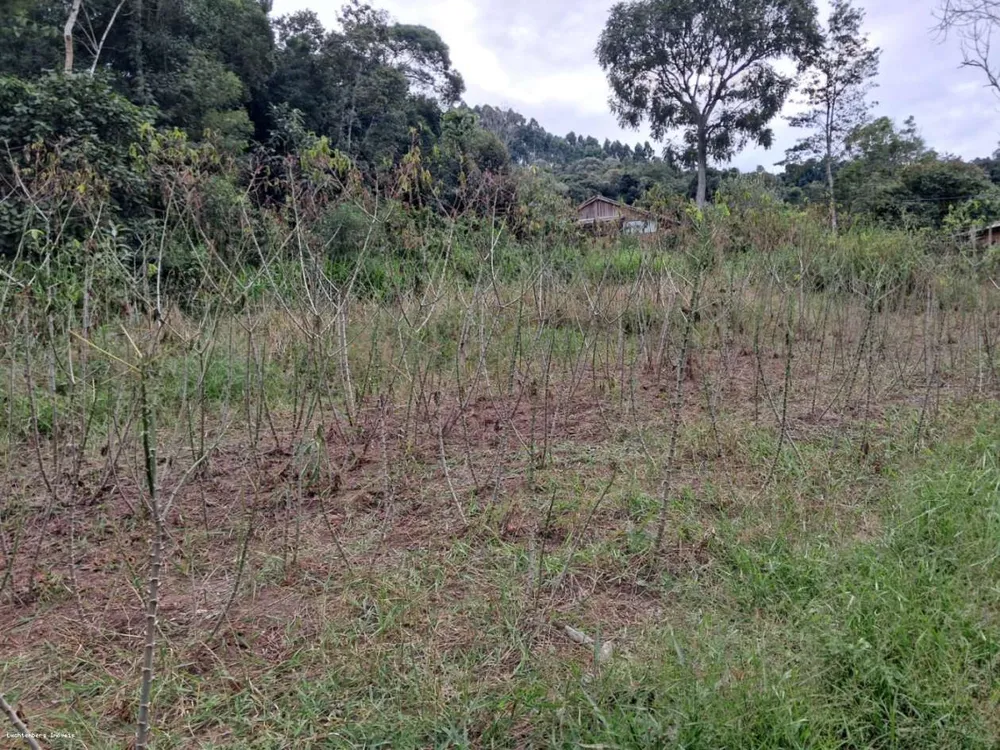 Chácara, 7000 m² - Foto 12