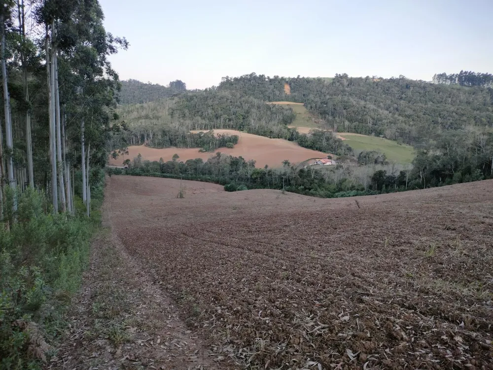 Sítio, 7 hectares - Foto 11