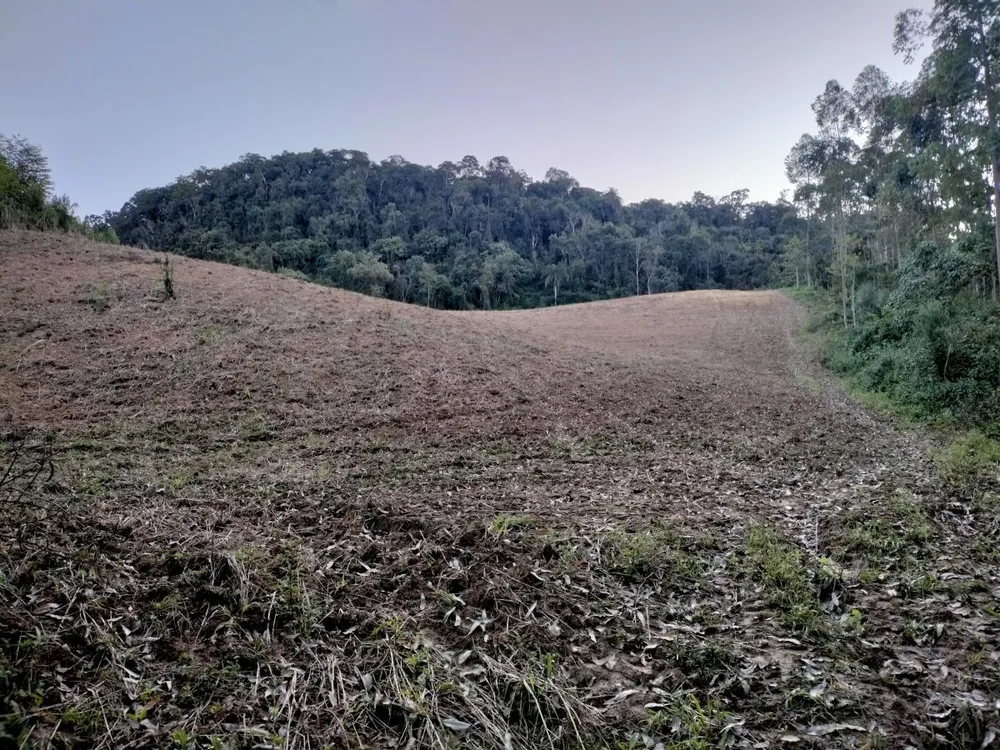 Sítio, 7 hectares - Foto 15