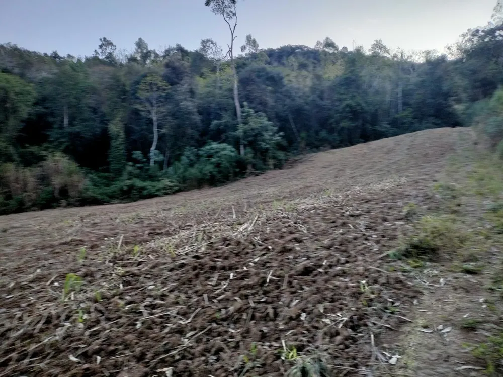 Sítio, 7 hectares - Foto 13