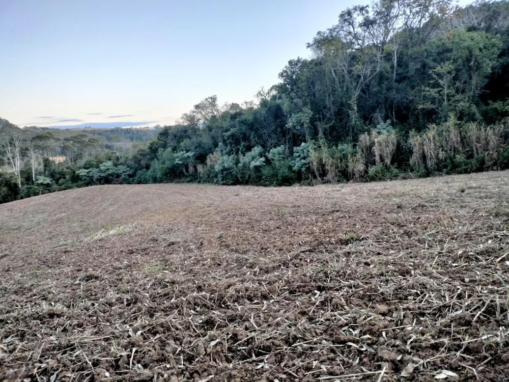 Sítio, 7 hectares - Foto 14