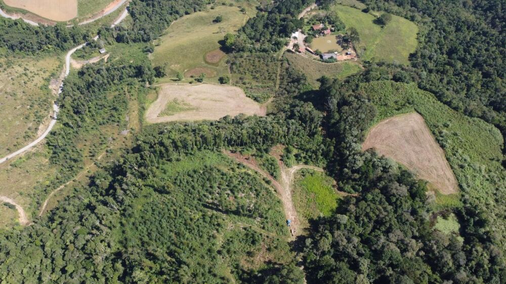 Sítio, 3 hectares - Foto 4