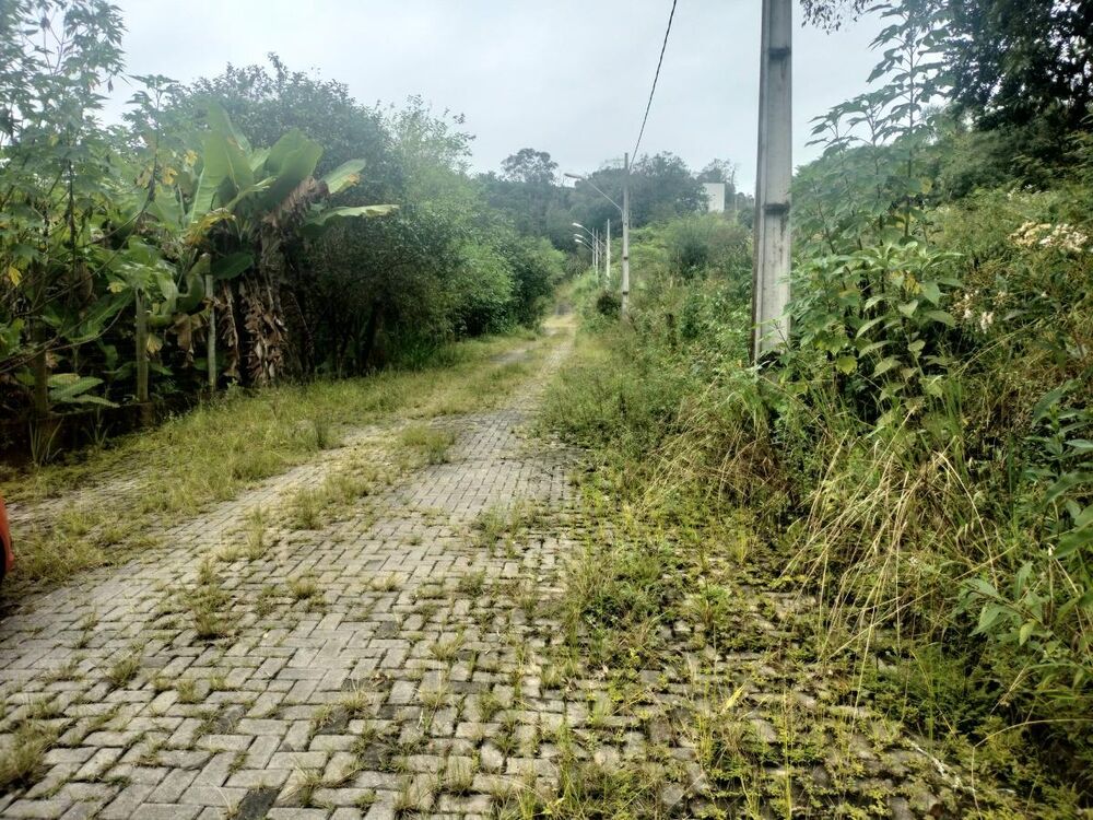 Terreno, 531 m² - Foto 3