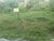 Terreno, 650 m² - Foto 6