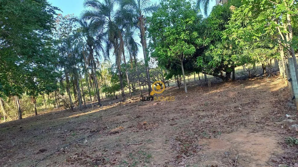 Chácara, 3 quartos, 2 hectares - Foto 8