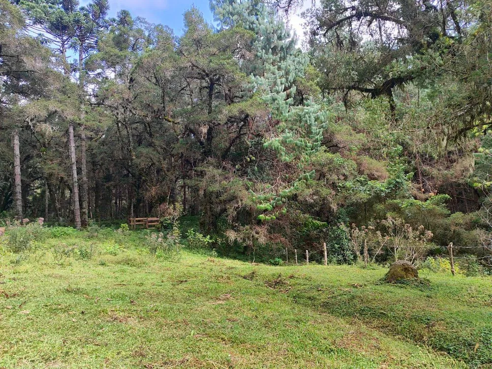 Terreno, 6 hectares - Foto 16
