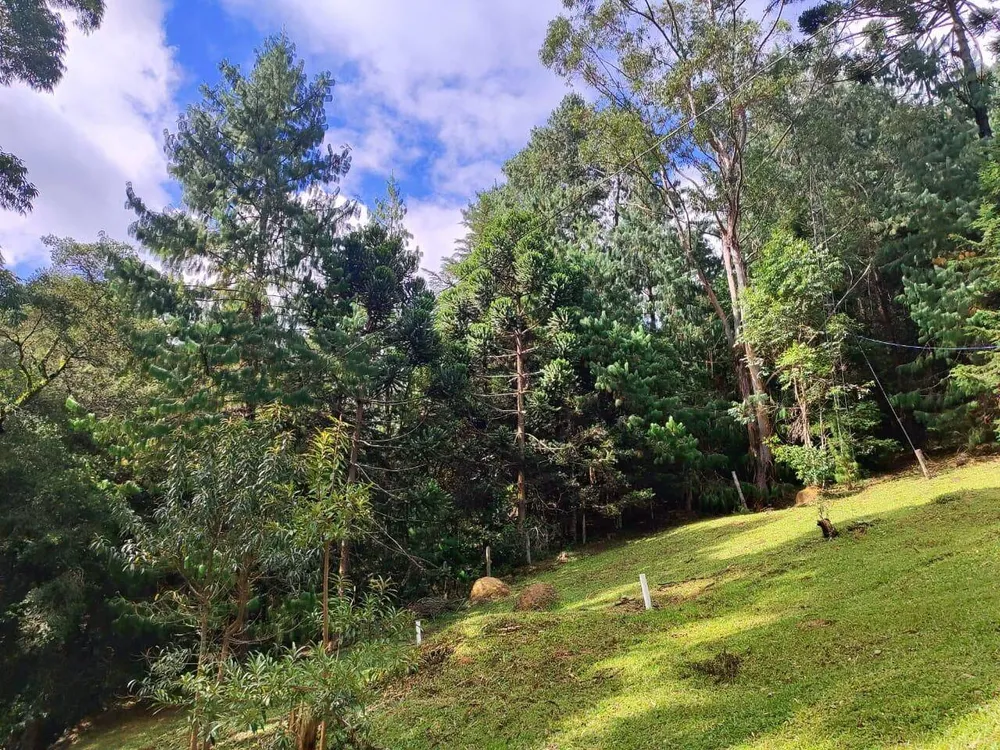Terreno, 6 hectares - Foto 11
