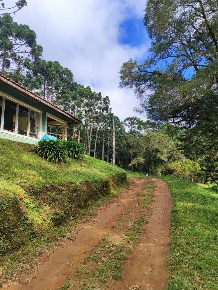 Terreno, 6 hectares - Foto 10