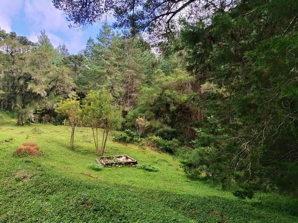 Terreno, 6 hectares - Foto 14