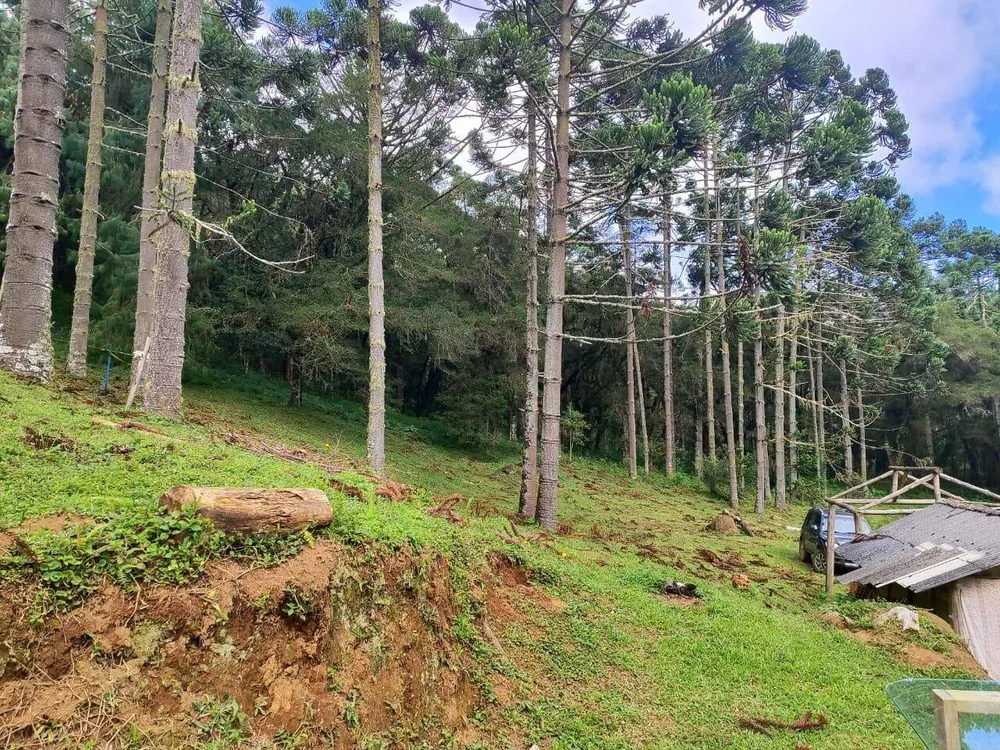 Terreno, 6 hectares - Foto 6