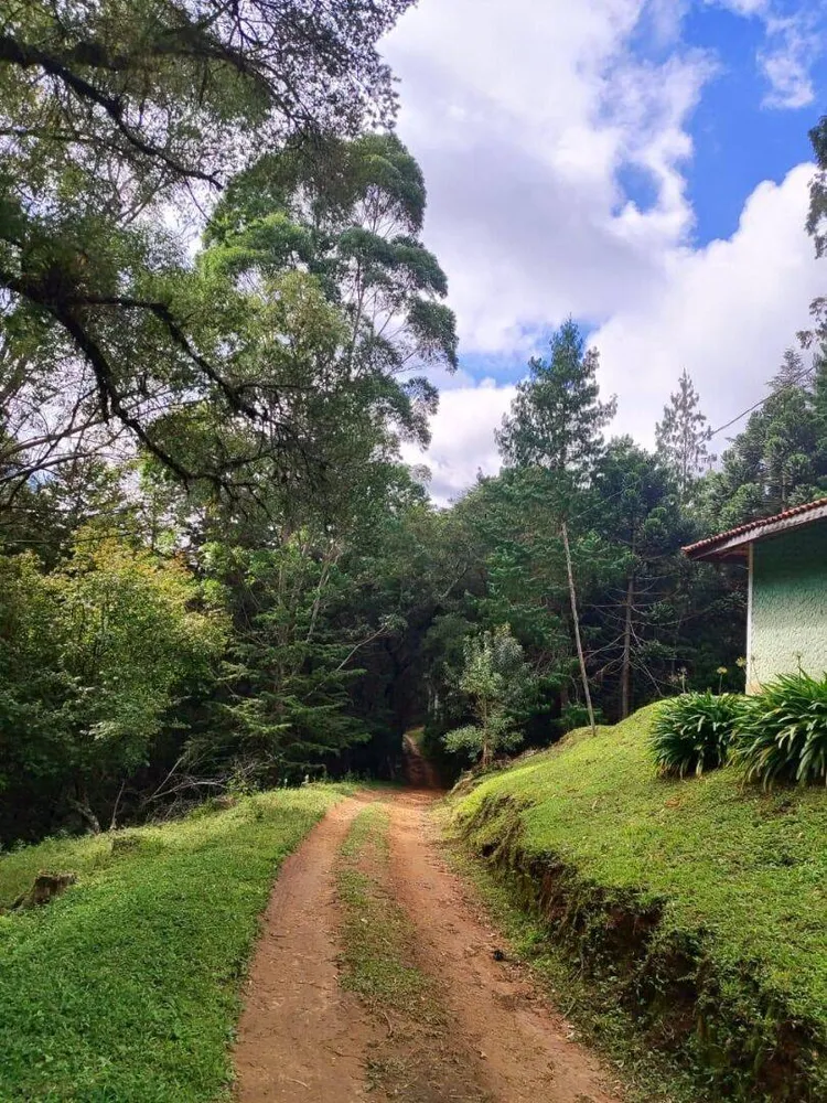 Terreno, 6 hectares - Foto 7