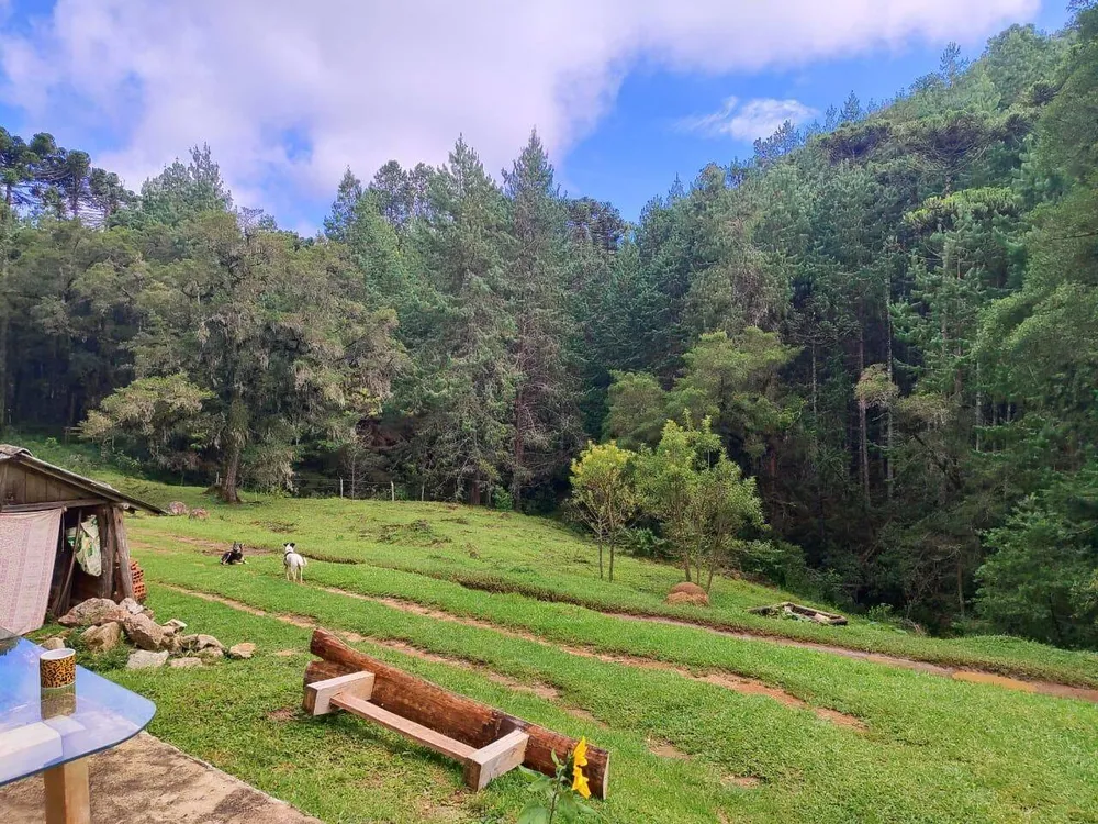 Terreno, 6 hectares - Foto 3