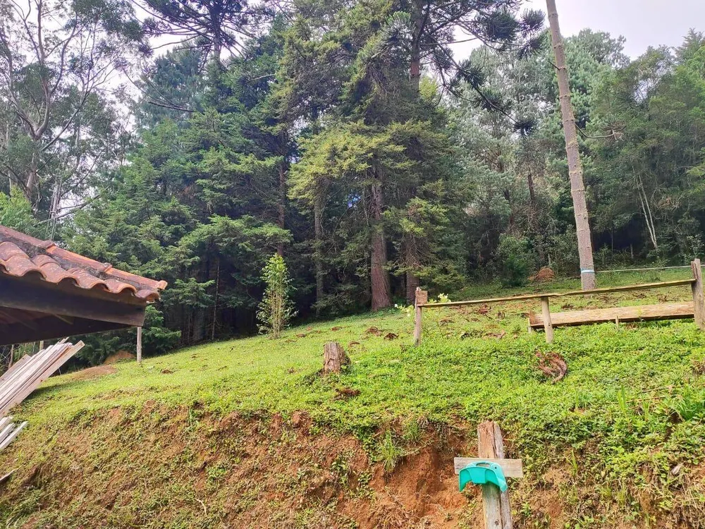 Terreno, 6 hectares - Foto 1