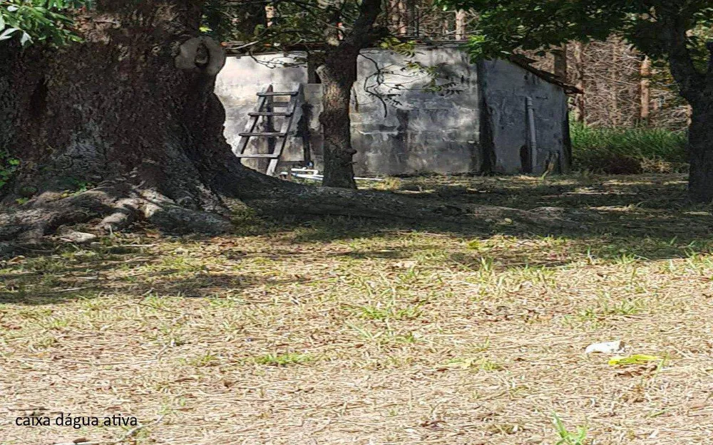 Sítio, 7 quartos, 2 hectares - Foto 2