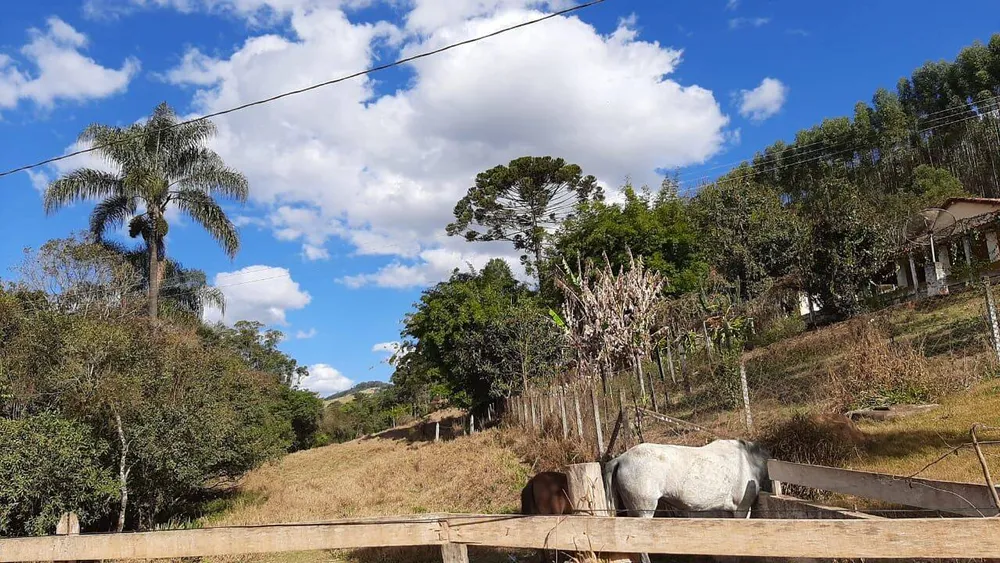 Chácara, 6 quartos, 2 hectares - Foto 6