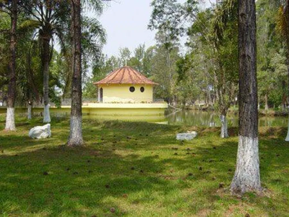Sítio, 3 quartos, 10 hectares - Foto 3