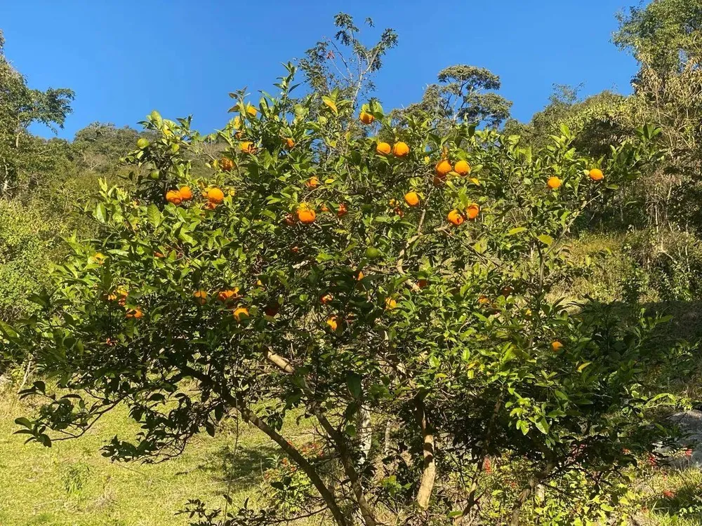 Prédio Inteiro - Foto 6