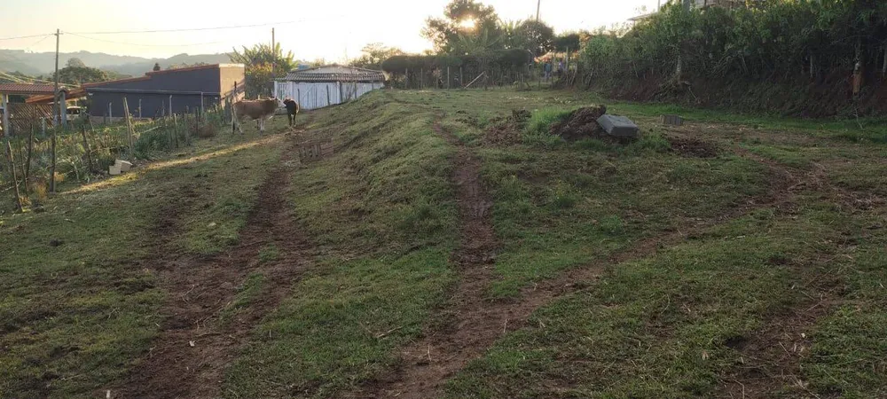 Terreno, 1000 m² - Foto 3