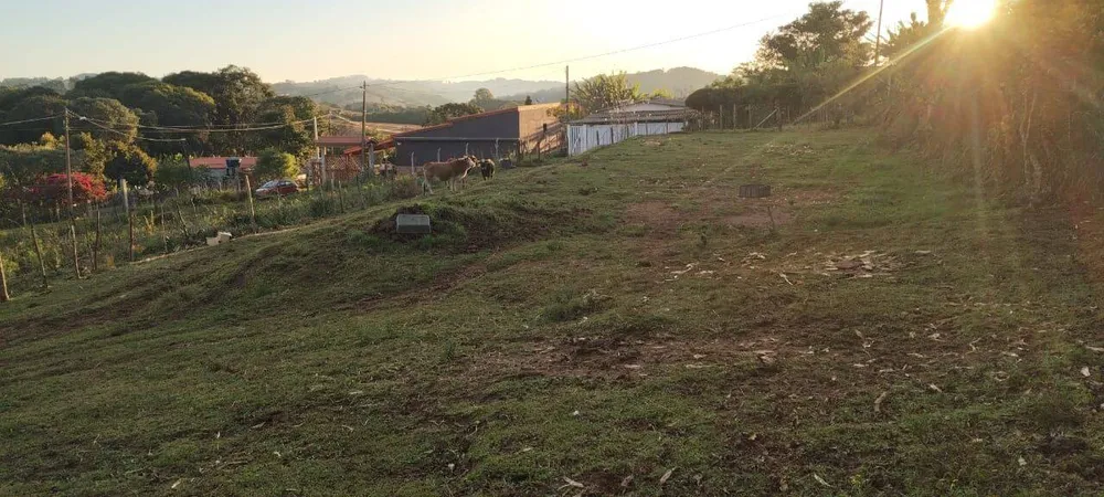 Terreno, 1000 m² - Foto 6