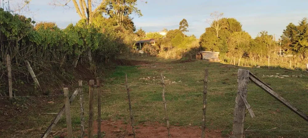 Terreno, 1000 m² - Foto 5