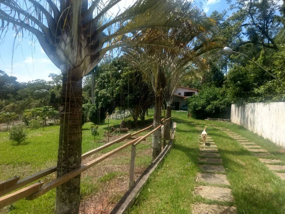 Sítio, 3 quartos, 3 hectares - Foto 7