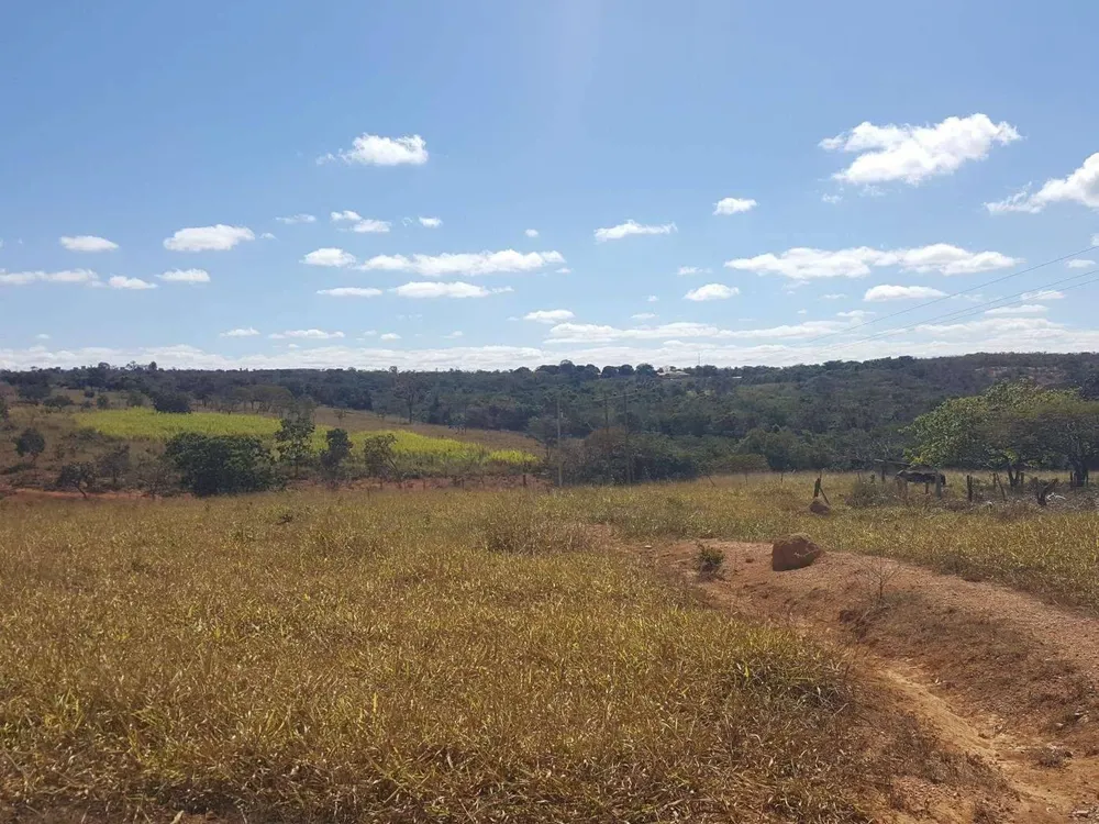 Terreno, 31 hectares - Foto 4