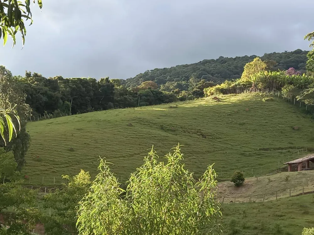 Sítio, 3 quartos, 4 hectares - Foto 4
