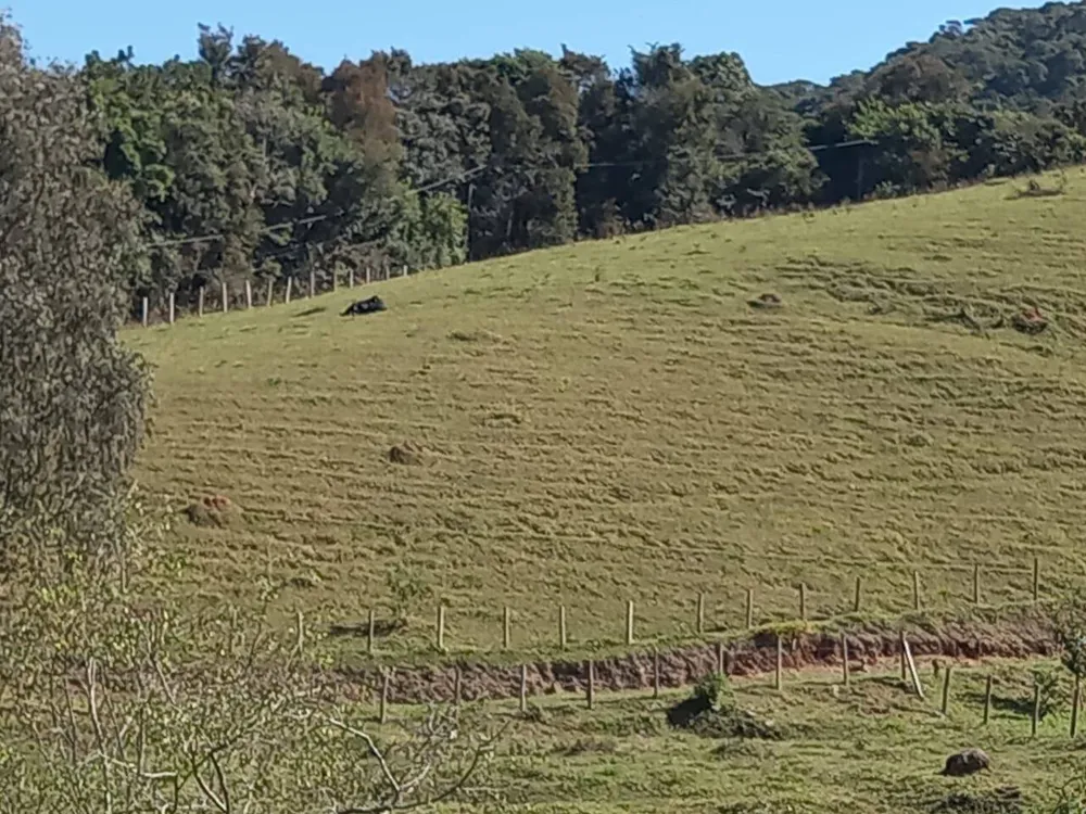 Sítio, 3 quartos, 4 hectares - Foto 1