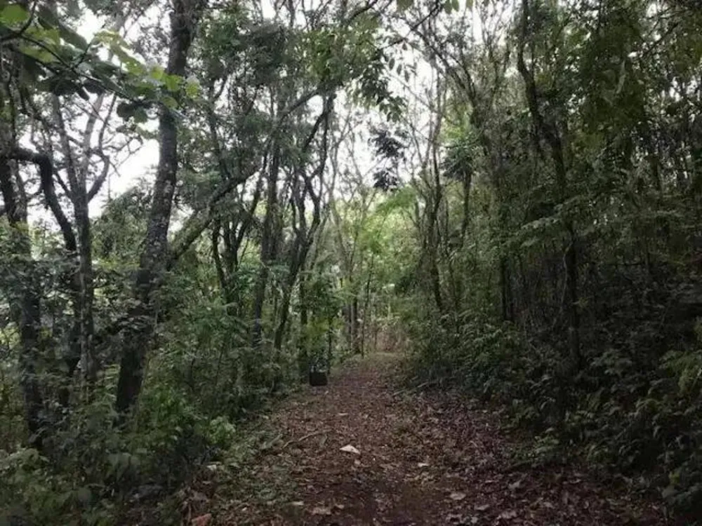Chácara, 6 quartos, 1 hectares - Foto 11