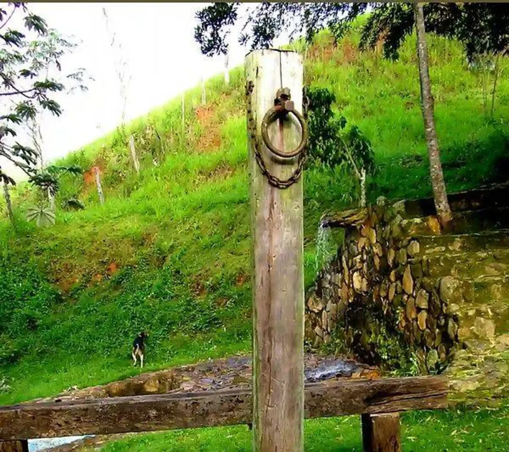 Fazenda, 133 hectares - Foto 10