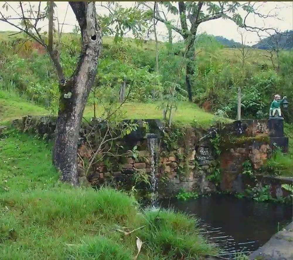 Fazenda, 133 hectares - Foto 11
