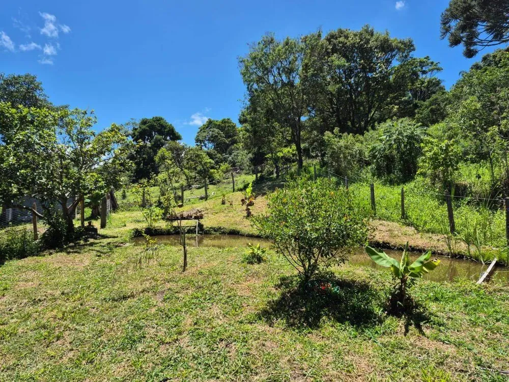 Chácara, 2 quartos, 1100 m² - Foto 9