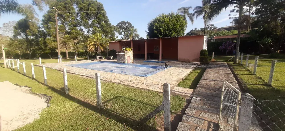 Chácara, 6 quartos, 8000 m² - Foto 3