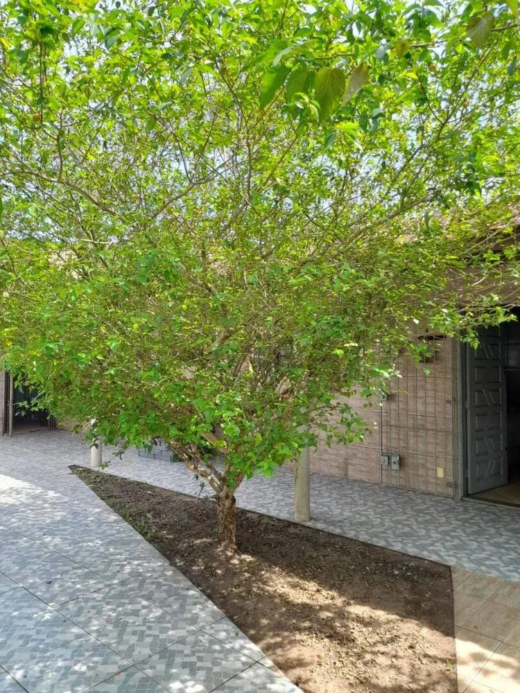 Casa, 2 quartos, 163 m² - Foto 1