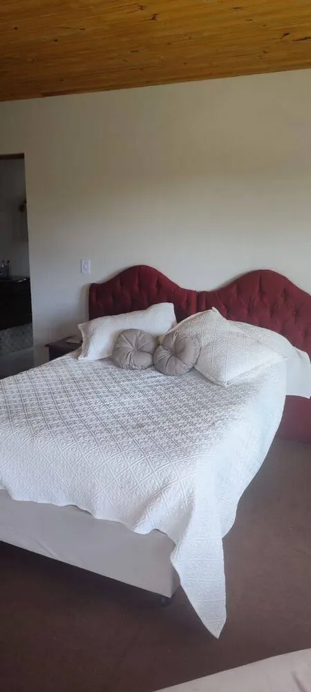 Chácara, 3 quartos, 1263 m² - Foto 8