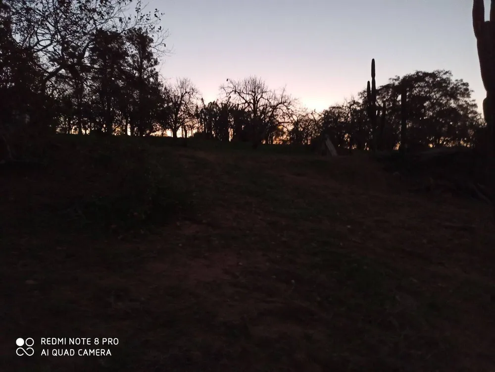 Terreno, 4 hectares - Foto 15