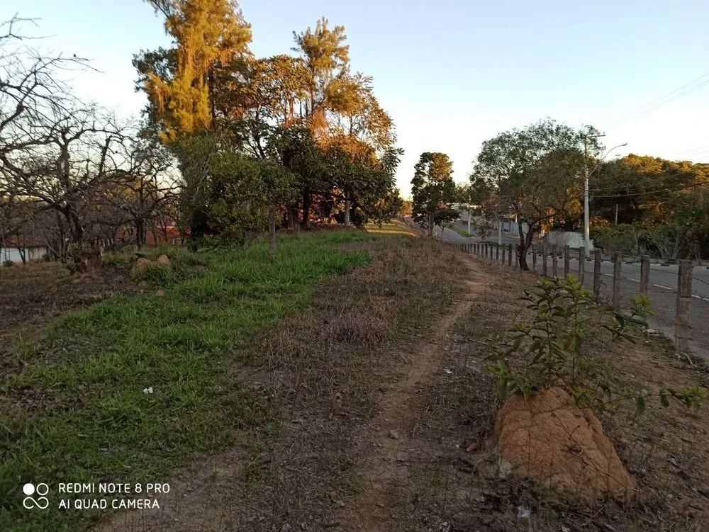 Terreno, 4 hectares - Foto 3