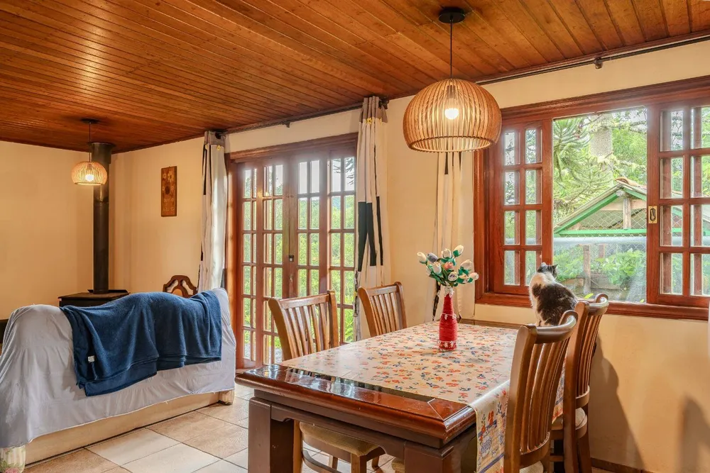 Chácara, 4 quartos, 5850 m² - Foto 4