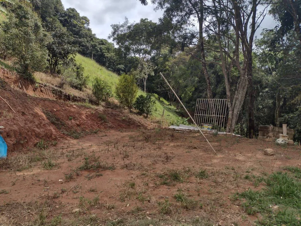 Chácara, 3 quartos, 3 hectares - Foto 7