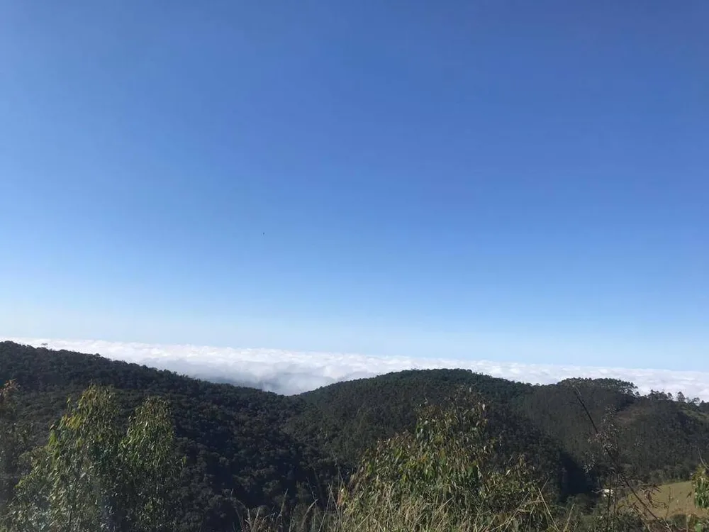 Chácara, 3 quartos, 2000 m² - Foto 1