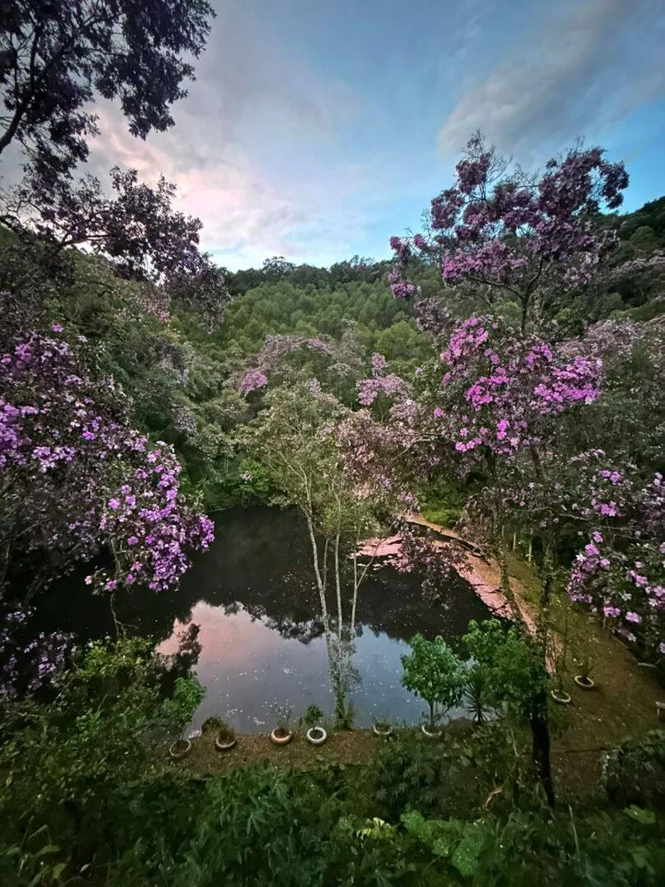 Chácara, 3 quartos, 2000 m² - Foto 6