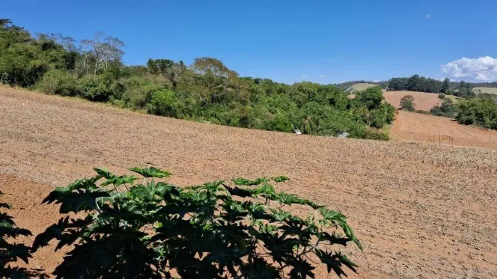 Sobrado, 2 quartos, 65 m² - Foto 4