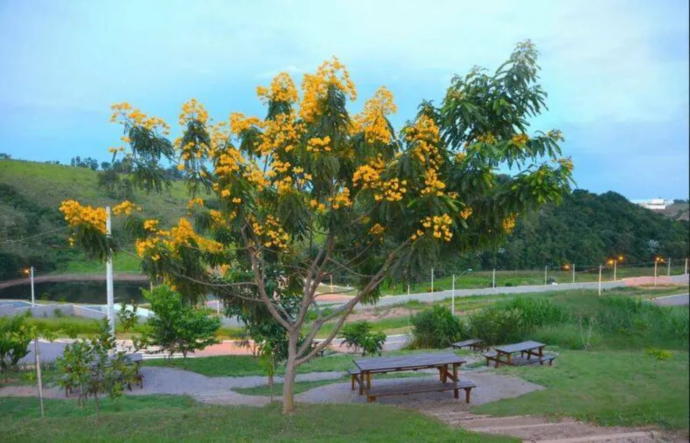 Terreno, 400 m² - Foto 7