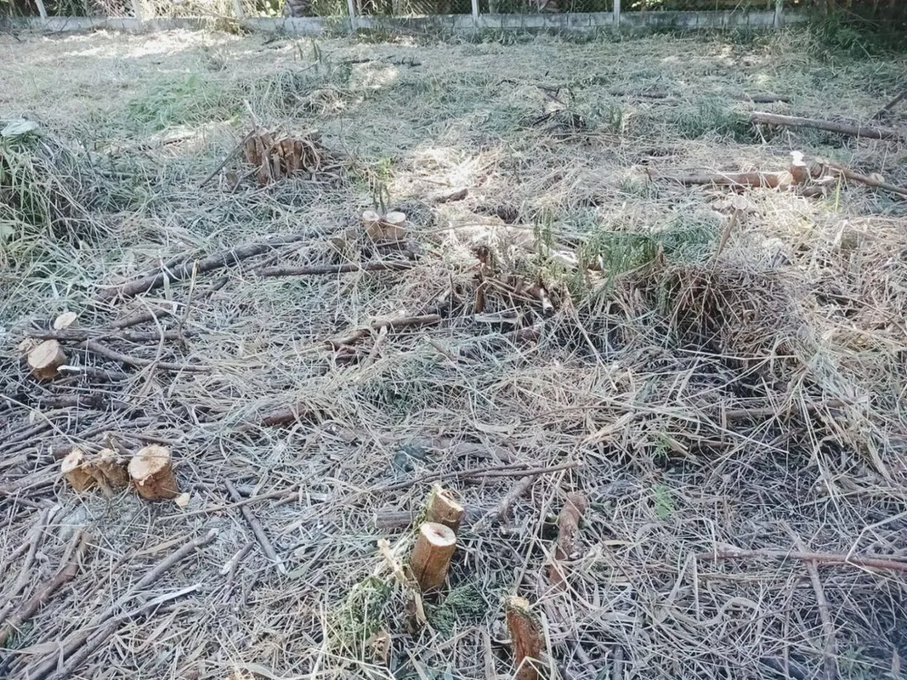 Terreno, 769 m² - Foto 5