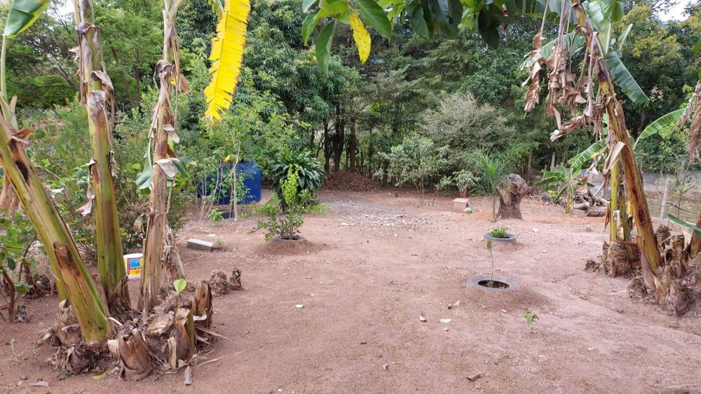 Chácara, 4 quartos, 1020 m² - Foto 17